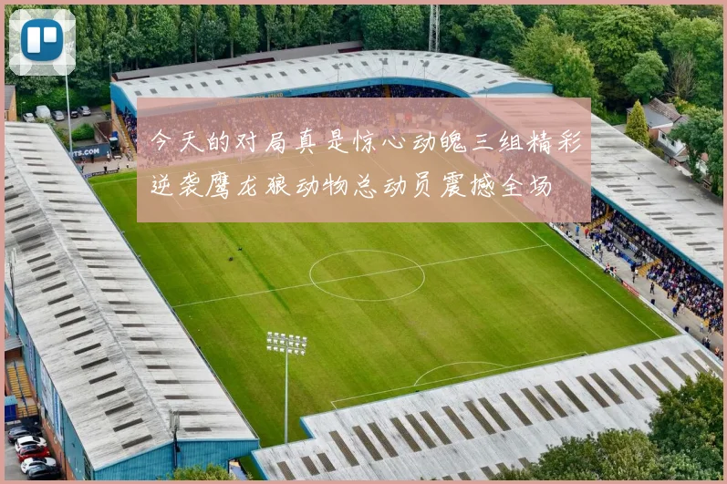 今天的对局真是惊心动魄三组精彩逆袭鹰龙狼动物总动员震撼全场
